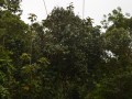 Tn DSC 3993